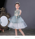 Kid Girl Princess Show  Autumn Winter Long Sleeve Dress