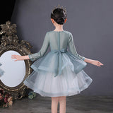 Kid Girl Princess Show  Autumn Winter Long Sleeve Dress