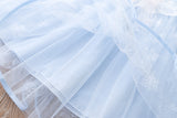 Kid Baby Girl Princess Aisha Frozen Snowflake Gauze Dresses