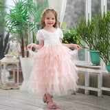 Flower Kid Baby Girl Princess Lace Birthday Fluffy Tulle Wedding Party Dress