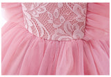 Kid Baby Girl Princess Flying Sleeve Mesh Lace Stitching Bow Dresses