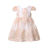 Baby Girl Embroidered Bowknot Party Dresses 6M-4T