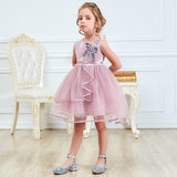 Toddler Bbay Girl Party Tutu Dress