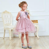 Toddler Bbay Girl Party Tutu Dress