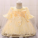 Baby Girl Party Lace Party Flower Baptism Dresses