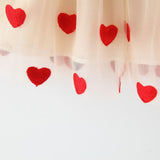 Baby Girl Valentine Love Heart Flower Dress